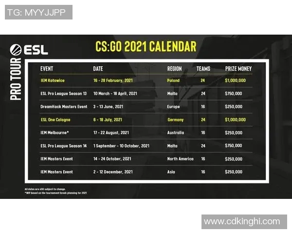 S15电竞CSGO赛事分析WE边路渗透策略的优势与不足探讨