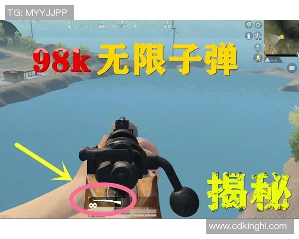 张娜揭秘和平精英成功秘诀与未来发展展望