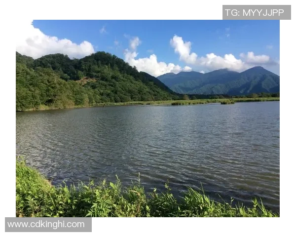 深度探讨刘丽在和平精英S15赛季中的成长与LOL游戏人生