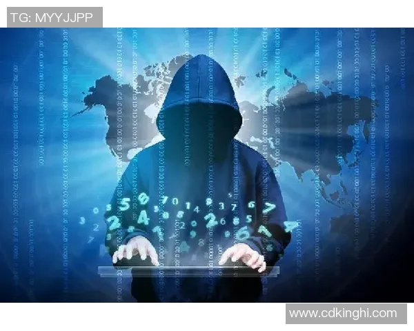 独家解析LNG灵活性与S15LOL的深度对比与应用前景